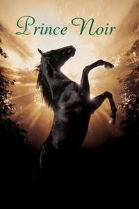 Black Beauty - Poster