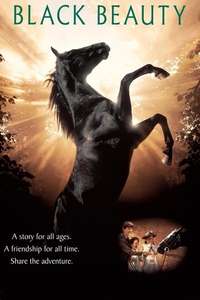 Black Beauty - Poster
