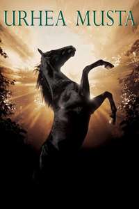Black Beauty - Poster