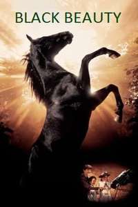 Black Beauty - Poster