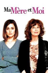 The Meddler - Poster