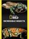 Incredible Insects