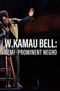 W. Kamau Bell: Semi-Prominent Negro - Poster