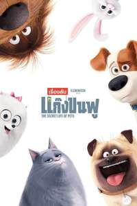 The Secret Life of Pets - Posters