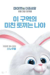 The Secret Life of Pets - Posters
