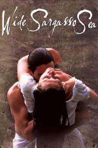 Wide Sargasso Sea - Poster