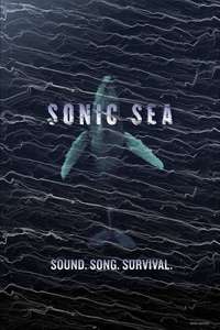 Sonic Sea - Poster