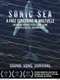 Sonic Sea