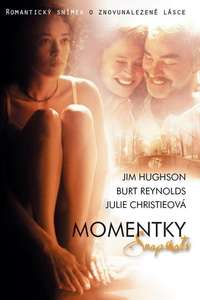 Snapshots - Poster