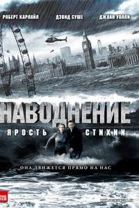 Flood - Poster