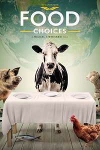 Food Choices - Poster