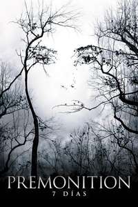 Premonition - Poster