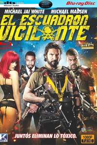 Vigilante Diaries - Poster