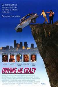 Driving Me Crazy - Poster