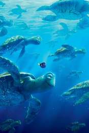 Finding Dory