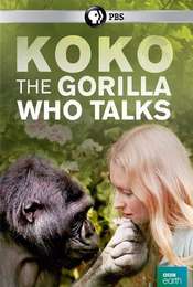 Koko: The Gorilla Who Talks to People