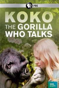 Koko: The Gorilla Who Talks to People - Poster
