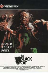 The Black Cat - Poster