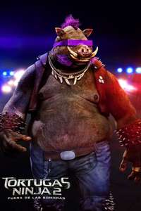 Teenage Mutant Ninja Turtles: Out of the Shadows - Poster