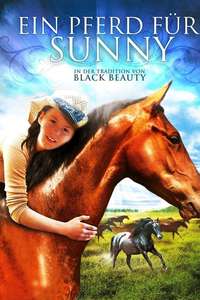 Second Chances - Poster