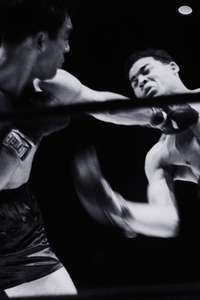 The Fight - Poster