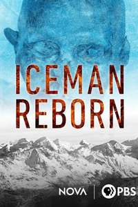Iceman Reborn - Poster
