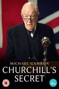 Churchill's Secret - Poster