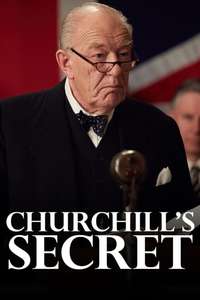 Churchill's Secret - Poster