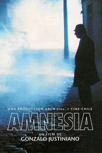 Amnesia - Poster