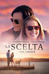 The Choice - Poster