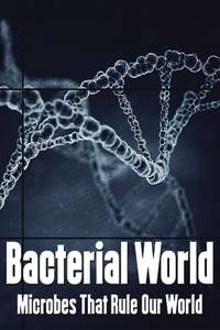 Bacterial World - Posters