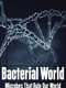 Bacterial World