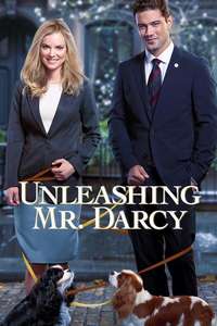 Unleashing Mr. Darcy - Poster
