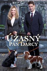 Unleashing Mr. Darcy - Poster