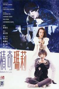 Sisters In Law - Poster