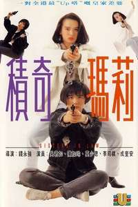 Sisters In Law - Poster