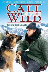 Call of the Wild - Poster