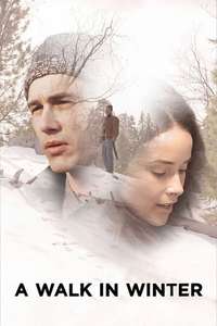 A Walk in Winter - Posters
