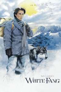 White Fang - Posters