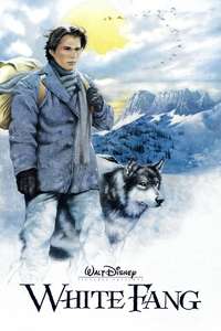 White Fang - Posters