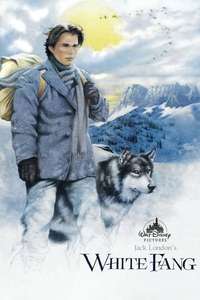 White Fang - Posters