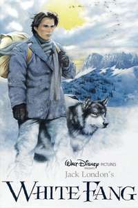 White Fang - Posters