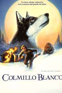 White Fang - Posters