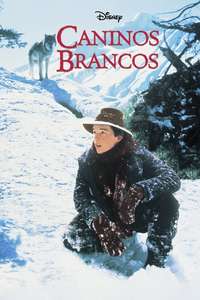 White Fang - Posters