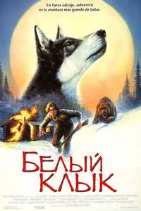 White Fang - Posters