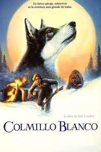 White Fang - Posters
