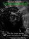 Terence McKenna's True Hallucinations