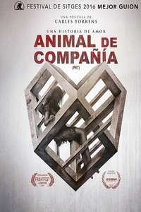 Pet - Poster
