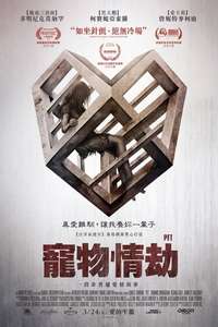 Pet - Poster
