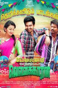 Velainu Vandhutta Vellaikaaran - Posters